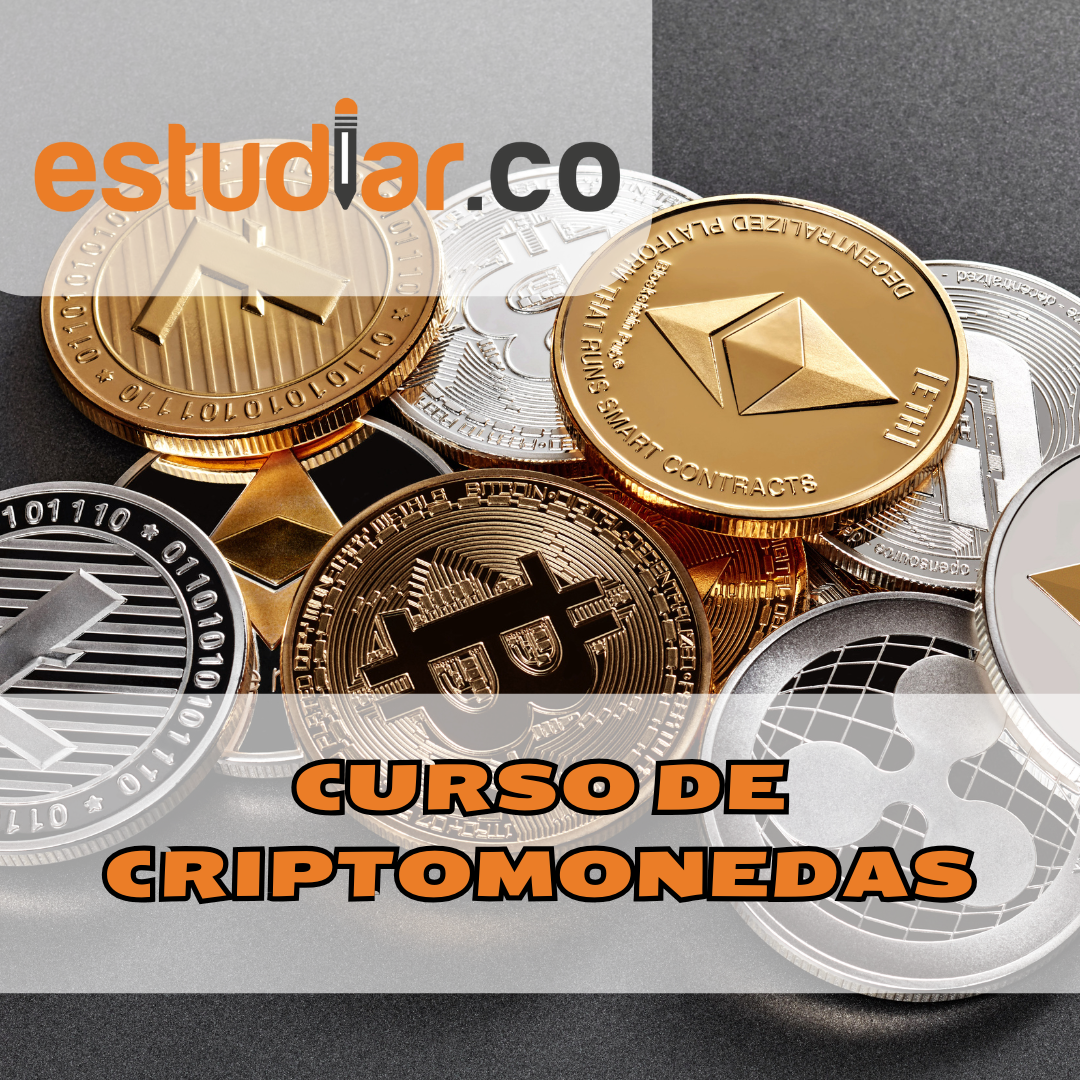 Domina el Mundo Cripto