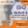 Auditor Líder